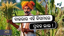 ଖରିଫରେ କରନ୍ତୁ ବାଜରା ଚାଷ ଖରିଫରେ କରନ୍ତୁ ବାଜରା ଚାଷ