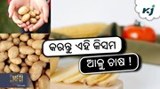 ଏହି କିସମ ଆଳୁ ଦେବ ୭୦ ଦିନରେ ଅମଳ ଏହି କିସମ ଆଳୁ ଦେବ ୭୦ ଦିନରେ ଅମଳ
