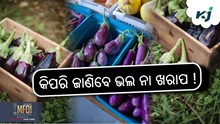 ବାଇଗଣରେ ପୋକ ଲାଗିଛି କି ନାଇଁ କିପରି ଜାଣିବେ ? ବାଇଗଣରେ ପୋକ ଲାଗିଛି କି ନାଇଁ କିପରି ଜାଣିବେ ?