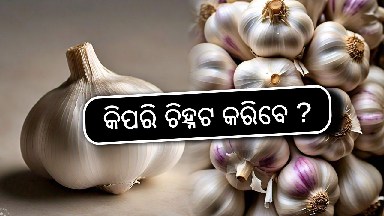 Chinese garlic banned in india, image source - pexels