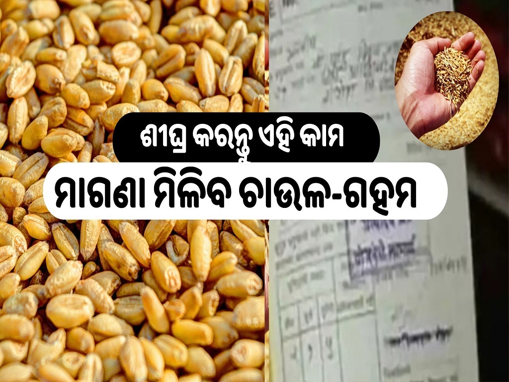 How to apply for new ration card, image source -pexels