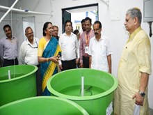 ଭୁବନେଶ୍ୱର ଆଇସିଏଆର-ସିଫାଠାରେ "ଅମୃତ ଭାକୁର" ମାଛ ଲୋକାର୍ପିତ 