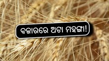 ଖୁଚୁରା ବଜାରରେ ଅଟା ମହଙ୍ଗା, ପିଡିଏସ୍ରେ ମିଳୁନି ଗହମ! ଖୁଚୁରା ବଜାରରେ ଅଟା ମହଙ୍ଗା, ପିଡିଏସ୍ରେ ମିଳୁନି ଗହମ!