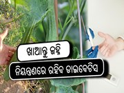 ଏସବୁ ରୋଗ ଦୂର କରେ ଜହ୍ନି...