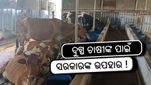 ମୁଖ୍ୟମନ୍ତ୍ରୀଙ୍କ ବଡ଼ ଉପହାର: ଆସିବ କାମଧେନୁ ଯୋଜନା