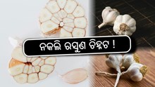 Chinese Garlic: କିପରି ଜାଣିବେ ନକଲି ରସୁଣ ? Chinese Garlic: କିପରି ଜାଣିବେ ନକଲି ରସୁଣ ?