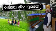 ପିଏମ-ଆରକେଭିୱାଇ ଏବଂ କୃଷୋନ୍ନତି ଯୋଜନାକୁ କ୍ୟାବିନେଟ ମଞ୍ଜୁର