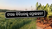 ଜାତୀୟ ମିଶନକୁ ଅନୁମୋଦନ କଲା କେନ୍ଦ୍ର କ୍ୟାବିନେଟ୍ ଜାତୀୟ ମିଶନକୁ ଅନୁମୋଦନ କଲା କେନ୍ଦ୍ର କ୍ୟାବିନେଟ୍