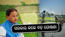 ଧାନ କିଣାକୁ ନେଇ ବଡ଼ ଘୋଷଣା କଲେ ସରକାର ! ଧାନ କିଣାକୁ ନେଇ ବଡ଼ ଘୋଷଣା କଲେ ସରକାର !