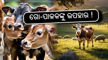 ଗୋସମ୍ପଦ ସିମେନ ଟେକ୍ନୋଲୋଜି ପାଇଁ ୟୁନିଫାଏଡ୍ ଜିନୋମିକ୍ ଚିପ୍ !