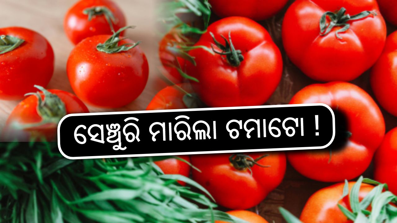 tomato price high in market  , image source -Pexels