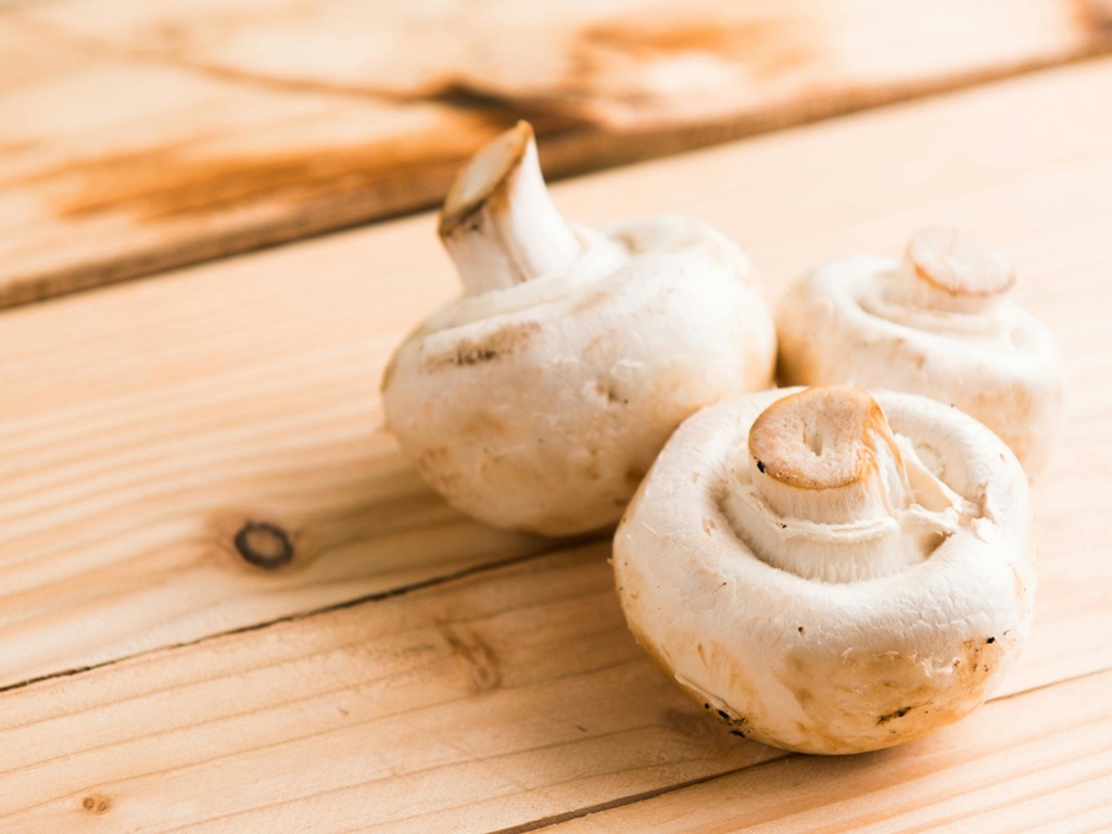 Mushroom farming in October, image source - Pexels