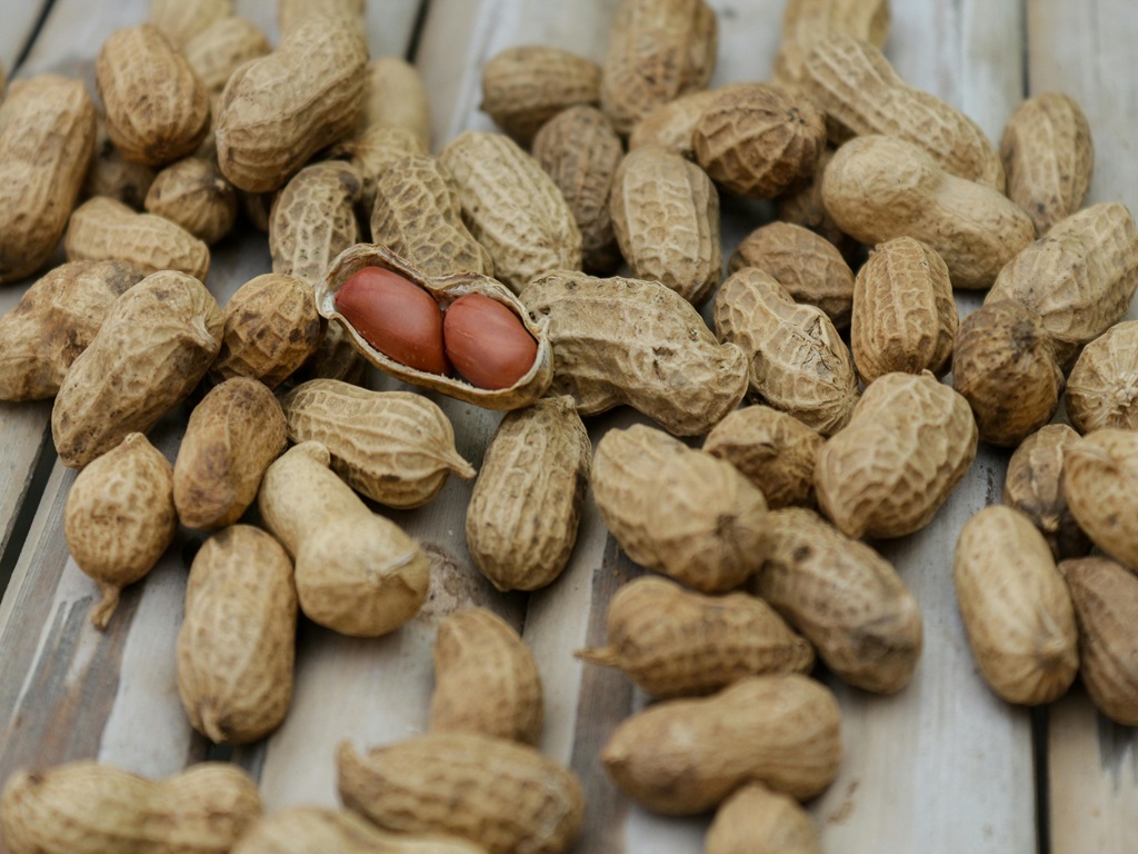 peanut farming in winter season, image source - pexels