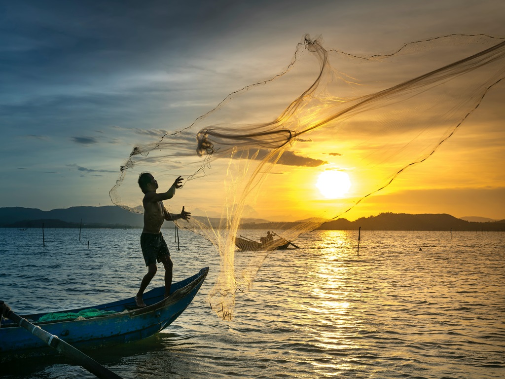 world Fishery day 2024, image source - pexels