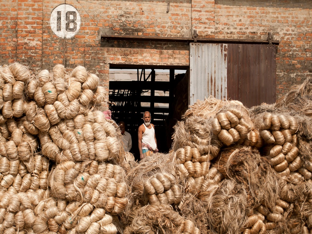 Major diseases of jute farming, image source - pexels