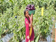 PM Kisan: ଖାତାକୁ ଆସିବ ପିଏମ୍ କିସାନ କିସ୍ତି ଟଙ୍କା! PM Kisan: ଖାତାକୁ ଆସିବ ପିଏମ୍ କିସାନ କିସ୍ତି ଟଙ୍କା!