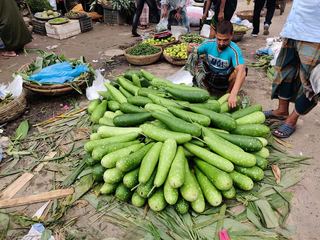 bottle gourd farming for farmers , iamge source - pexels