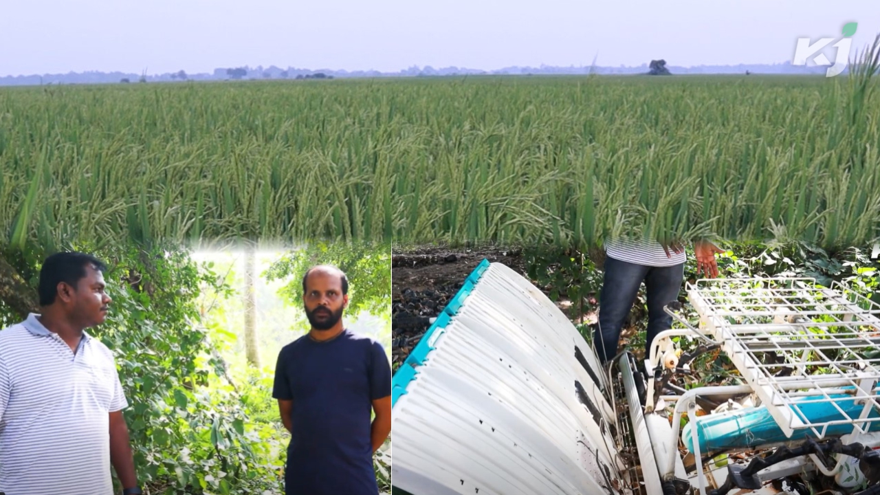 farm machinary used in paddy farm