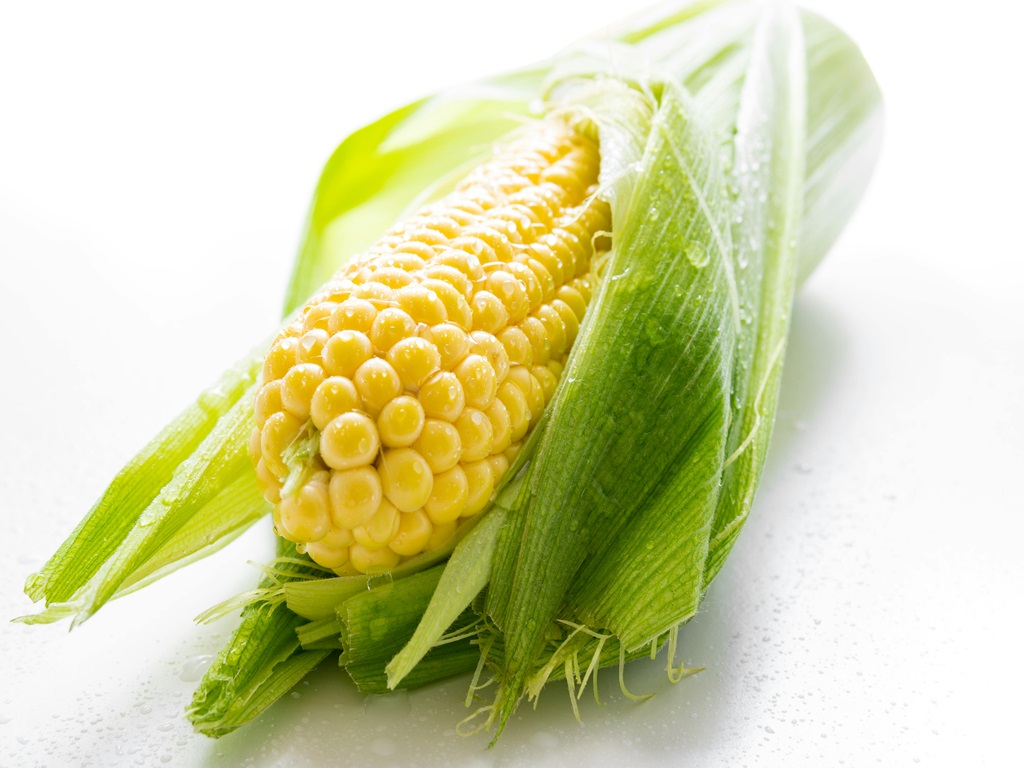 profitable indem variety maize farming , image source - pexels