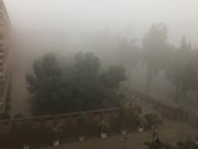 ଶୀତ ସହ ଘନ କୁହୁଡି କରିବ ଅସ୍ତବ୍ୟସ୍ତ !