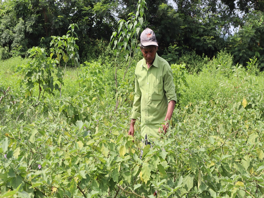 farmer id mandatory for farmers