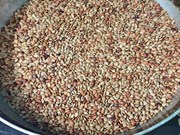 କୋଳଥ ଡାଲିରୁ ଚାଷୀ କିପରି ଅଧିକ ଲାଭ ପାଇବେ ?