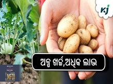 ଜୈବିକ ପ୍ରଣାଳୀରେ ଚାଷ: ଅଳ୍ପ ଖର୍ଚ୍ଚ,ଅଧିକ ଲାଭ ଜୈବିକ ପ୍ରଣାଳୀରେ ଚାଷ: ଅଳ୍ପ ଖର୍ଚ୍ଚ,ଅଧିକ ଲାଭ