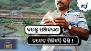 କରନ୍ତୁ ଏହି କାମ, ନଚେତ ମିଳିବନି ୧୯ତମ କିସ୍ତି !