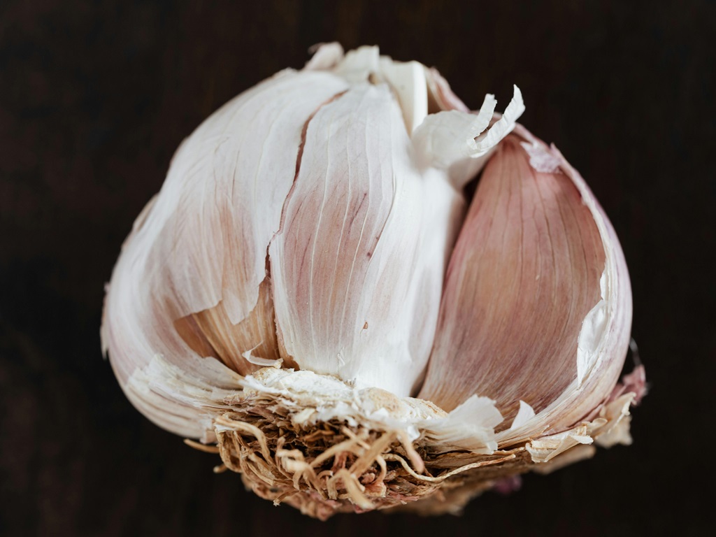 organic cultivation of garlic, image source - pexels