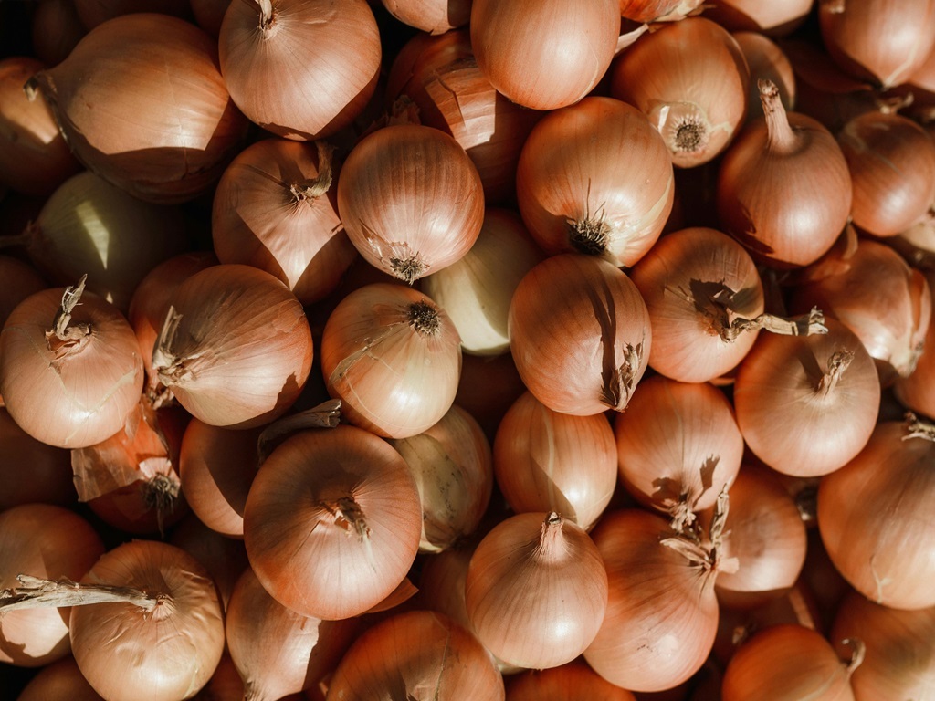 pusa riddhi onion variety, image source - pexels