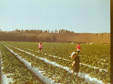 PM Kisan ଯୋଜନାର ୧୯ତମ କିସ୍ତି ଟଙ୍କା... PM Kisan ଯୋଜନାର ୧୯ତମ କିସ୍ତି ଟଙ୍କା...