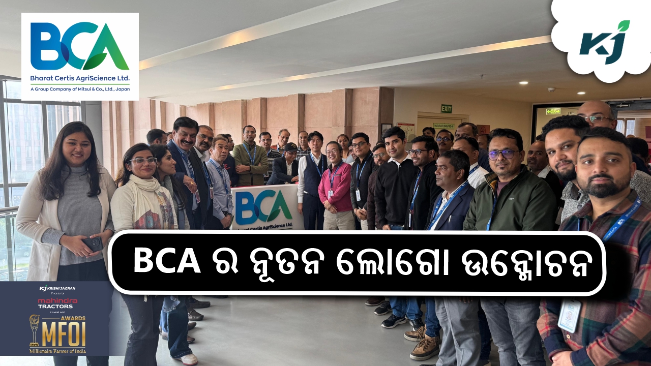 BCA Unveils New Logo