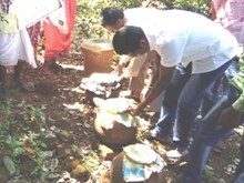 କୃଷି କ୍ଷେତ୍ରରେ ‘ନିମାସ୍ତ୍ର’ ର ବ୍ୟବହାର… କୃଷି କ୍ଷେତ୍ରରେ ‘ନିମାସ୍ତ୍ର’ ର ବ୍ୟବହାର…