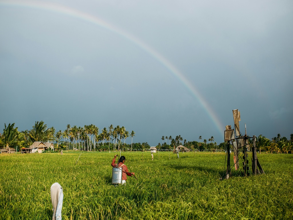 importance of soil and water conservation, image source -pexels