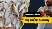 କମ୍ ସମୟରେ ଅଧିକ ରୋଜଗାର !