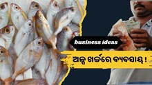 କମ୍ ସମୟରେ ଅଧିକ ରୋଜଗାର !