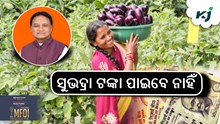 Subhadra Scheme: ସୁଭଦ୍ରା ଟଙ୍କା ପାଇବେ ନାହିଁ, କଟିଯାଇଛି ନାଁ !