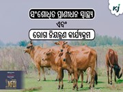 ସଂଶୋଧିତ ପ୍ରାଣୀଧନ ସ୍ୱାସ୍ଥ୍ୟ ଏବଂ ରୋଗ ନିୟନ୍ତ୍ରଣ କାର୍ଯ୍ୟକ୍ରମକୁ କେନ୍ଦ୍ର କ୍ୟାବିନେଟ ଅନୁମୋଦନ