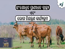 ସଂଶୋଧିତ ପ୍ରାଣୀଧନ ସ୍ୱାସ୍ଥ୍ୟ ଏବଂ ରୋଗ ନିୟନ୍ତ୍ରଣ କାର୍ଯ୍ୟକ୍ରମକୁ କେନ୍ଦ୍ର କ୍ୟାବିନେଟ ଅନୁମୋଦନ ସଂଶୋଧିତ ପ୍ରାଣୀଧନ ସ୍ୱାସ୍ଥ୍ୟ ଏବଂ ରୋଗ ନିୟନ୍ତ୍ରଣ କାର୍ଯ୍ୟକ୍ରମକୁ କେନ୍ଦ୍ର କ୍ୟାବିନେଟ ଅନୁମୋଦନ