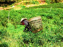 Business Tips: ନୂତନ ବ୍ୟବସାୟ ଚିନ୍ତାଧାରା .... Business Tips: ନୂତନ ବ୍ୟବସାୟ ଚିନ୍ତାଧାରା ....