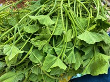 Health Tips: ଏହି ଶାଗ ଶରୀର ପାଇଁ ବରଦାନ....