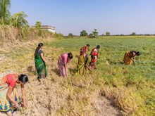 ଆସାମ ଚାଷୀଙ୍କୁ ସରକାରଙ୍କ ବଡ଼ ଉପହାର.... ଆସାମ ଚାଷୀଙ୍କୁ ସରକାରଙ୍କ ବଡ଼ ଉପହାର....
