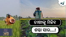 ୨୦୨୫ ଖରିଫ ଋତୁରେ ଚାଷୀଙ୍କୁ ଶସ୍ତାରେ ମିଳିବ ସାର ୨୦୨୫ ଖରିଫ ଋତୁରେ ଚାଷୀଙ୍କୁ ଶସ୍ତାରେ ମିଳିବ ସାର