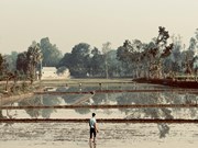 ପ୍ରଧାନମନ୍ତ୍ରୀ କୃଷି ସିଞ୍ଚାଇ ଯୋଜନାର ଆଧୁନିକୀକରଣକୁ କ୍ୟାବିନେଟ ମଞ୍ଜୁରି