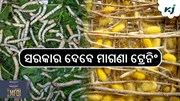 ୧୦୦ ଟଙ୍କାରେ ବ୍ୟବସାୟ, ତାଲିମ ଦେଉଛନ୍ତି ସରକାର...!