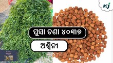 ଉଚ୍ଚ ଅମଳକ୍ଷମ ଚଣା ଚାଷ, ରୋଗ ପ୍ରତିରୋଧୀ କିସମ..! ଉଚ୍ଚ ଅମଳକ୍ଷମ ଚଣା ଚାଷ, ରୋଗ ପ୍ରତିରୋଧୀ କିସମ..!