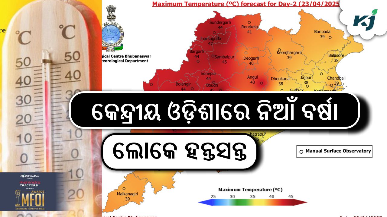 reduce the impact of extreme heat waves