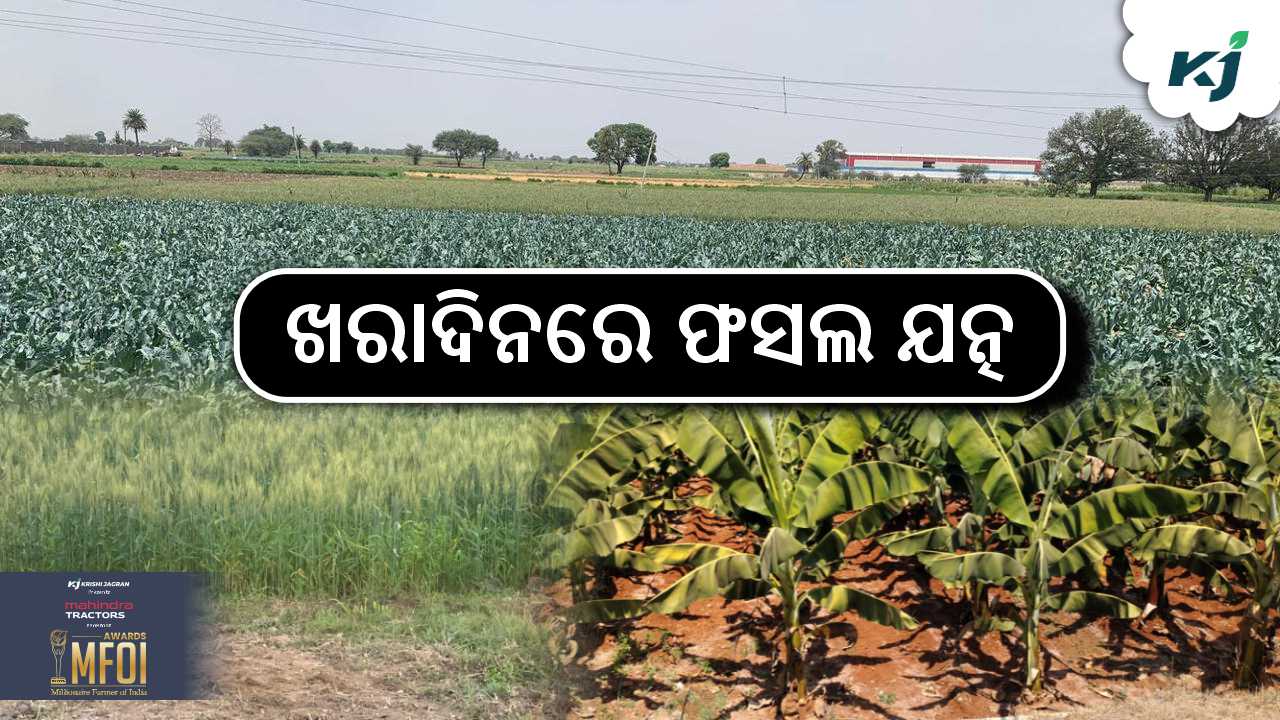Smart strategy to save crops