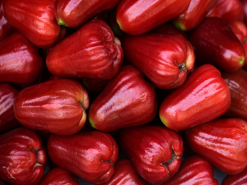 make profit in water apple farming , image source - pexels