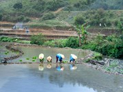 PKVY ଯୋଜନାରେ ଚାଷୀଙ୍କୁ ମିଳିବ ୩୧,୫୦୦ ଟଙ୍କା !